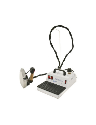 Generador de vapor bieffe stir blanco1,5L