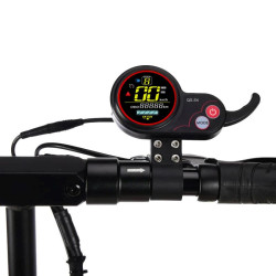 Display QS-S4 36-72V 6 pin con acelerador de índice 2