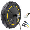 Motor 36V 350W 6,5/B50 Ninebot G30 / G30P [Ninebot]