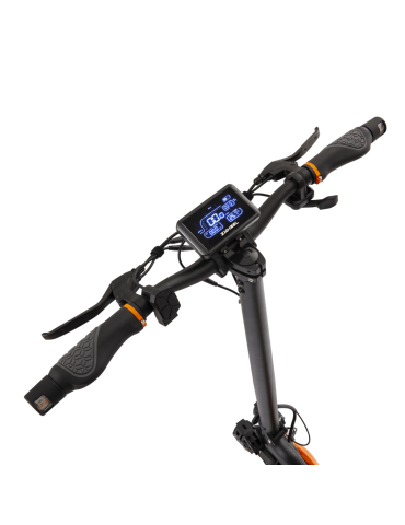 ZCougar DUO Patinete Eléctrico Homologado DGT 2