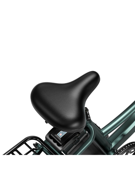 Pioneer Green Urban Zwheel Bicicleta Eléctrica