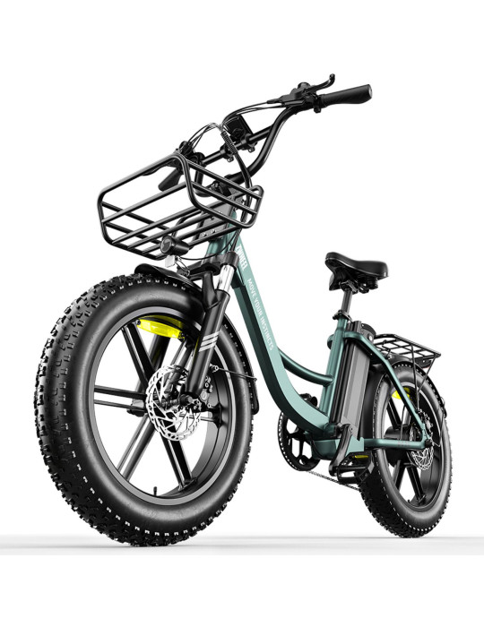 Pioneer Green Urban Zwheel Bicicleta Eléctrica