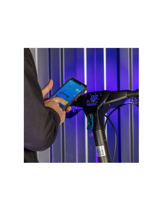 Patinete Eléctrico Homologado SmartGyro Rockway GT