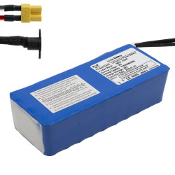 Batería externa 36V 12,8 A/h [Ewheel]