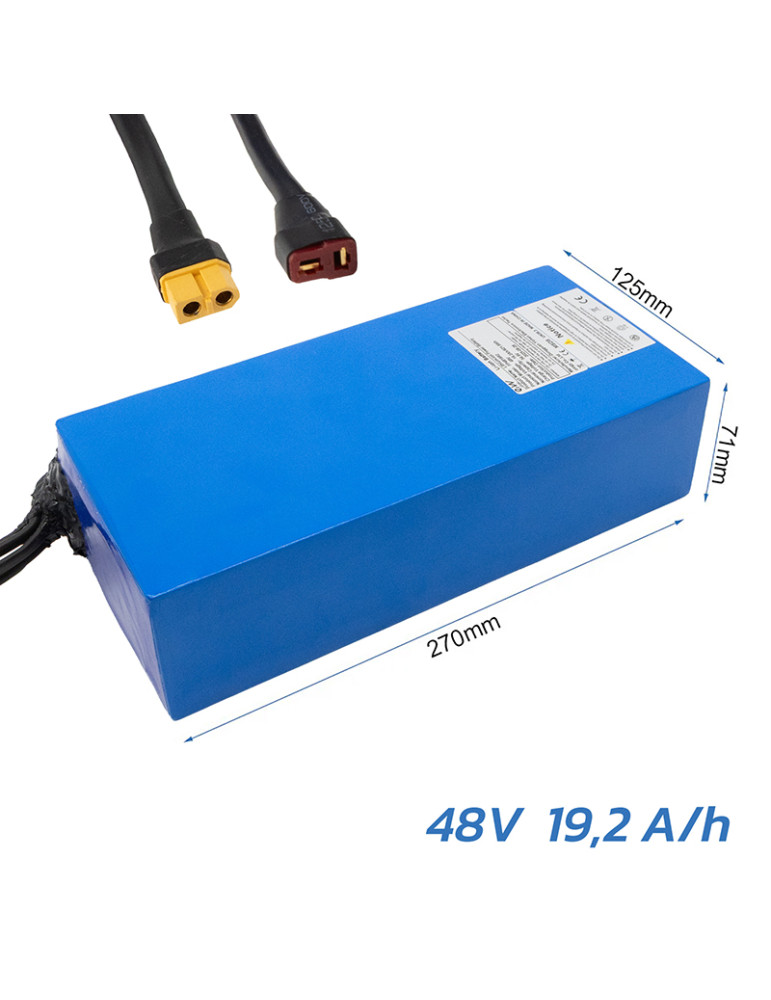 Batería 48V 19,2 A/h para smartgyro speedway [Ewheel]
