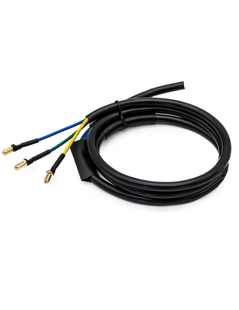 Cable motor 1200W para Dualtron Mini [MINIMOTORS]